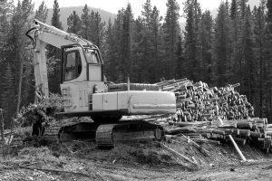 bg parts logging